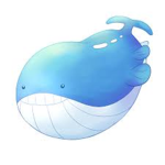 wailord co