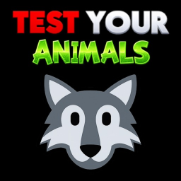 🐺 Animal Test