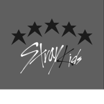 Stray kid fan group