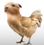 complejo comunal sabaneta