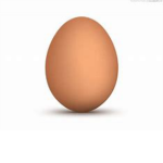 The Fella Eggs
