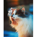 *~Cats Group*~