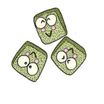 The Swinging Sesame Seed Group