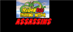 Dragon Ball Z Sparking Meteor A$$A$$IN$