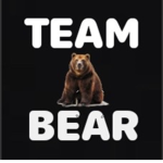 TEAM BEAR (OFFICIAL GROUP)