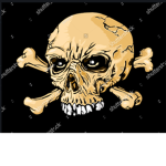 the skull finders