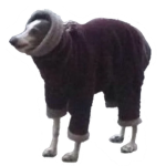 GElCO