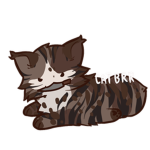 A Cat's Squad