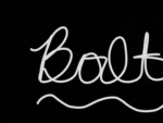 BoltstarBlox fan group