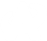 Anime Absolute