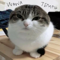 wawa temple(beta) icon