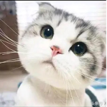 送
