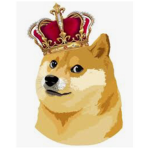 {DOGE KINGDOM}
