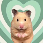 RATS YASS