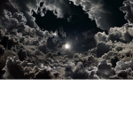 The Sky kittens