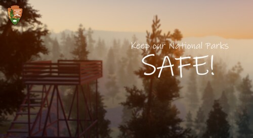 🌲 National Park Roleplay