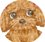 TheCrazygamerdoggies fans