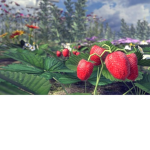 Garden Inc.