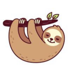 The sassy sloths original