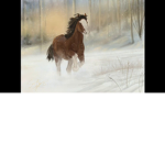 |~| Prophecy Meadows Racing Academy |~|