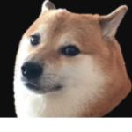 omegasceptile123's alt storage