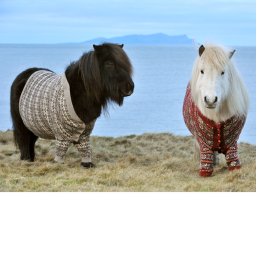 horse stable