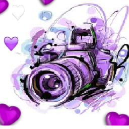 Foto place team morado