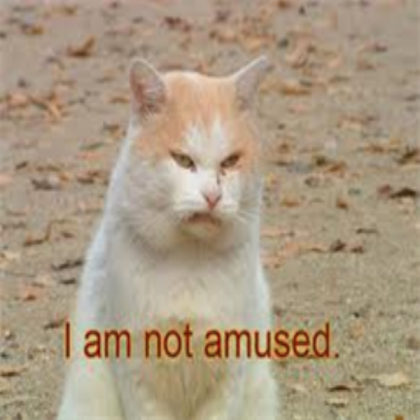 Funny Cat-I Am Not Amused! Roblox decal