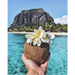 𝙞𝙨🍍