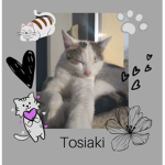 Tosiaki