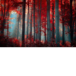 i don't know name group..