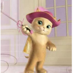 Meow Meow Musketeers