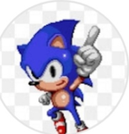 Team Sonic le pro