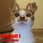 S1 (Season 1)