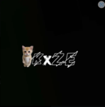 XZENS GROUP