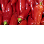 The Peppers Gang