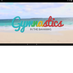 Everlee's gymasts