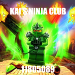 The Ninja HQ