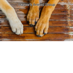 Harper’s Animal Group