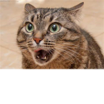 psychocat clan