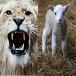GRTL: God's Roar to The Lost