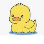 ~Da Duck Squad~