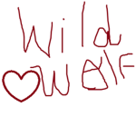 Wild Wolf Hotel