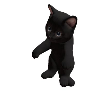 Black Cat Pet