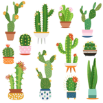 The Cacti Club