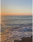 Maddies sunset group
