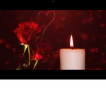 Best friend roses