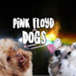 thedoglife