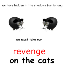 kill the cats!