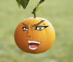 Anatra Mafia